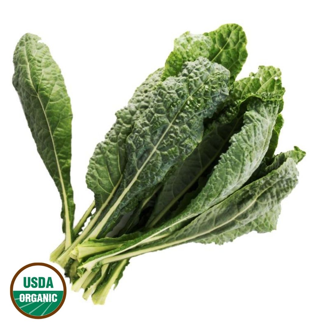 Organic Dino Scotch Kale